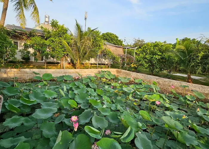 Homestay Sen & Zen Villa Vung Tau